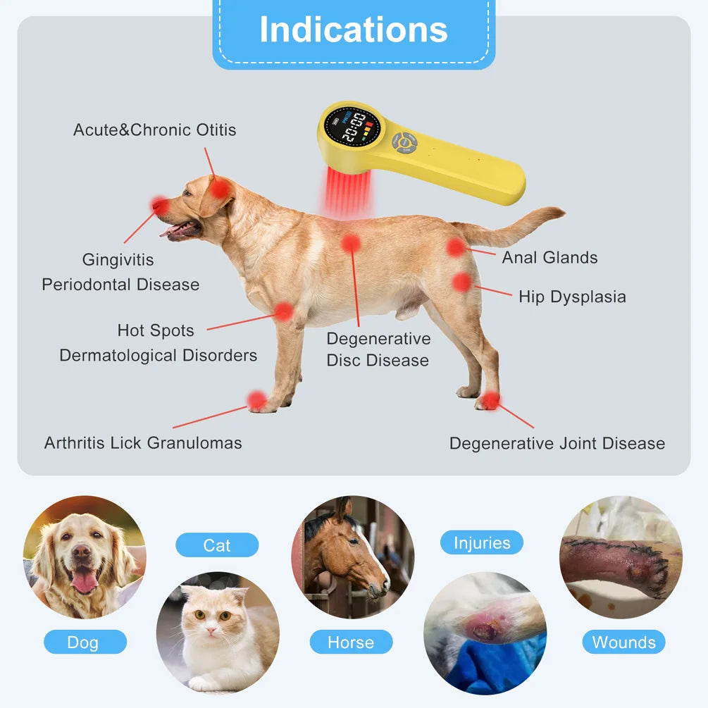 Professional Triple-Wavelength Cold Laser Therapy Device – 660nm, 810nm & 980nm