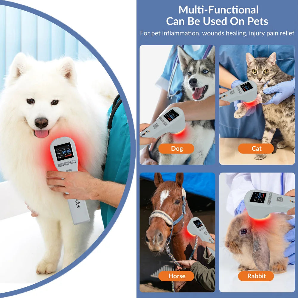 Professional Class 3b Cold Laser Therapy Device – 880mW High-Power LLLT, 650nm & 808nm Infrared Red Light Therapy